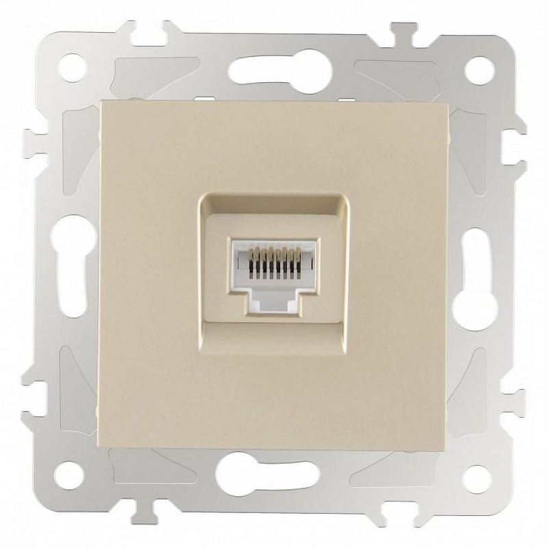Розетка Ethernet RJ-45 без рамки Arte Milano am-203 203.45-1.shampan цвет Бежевый