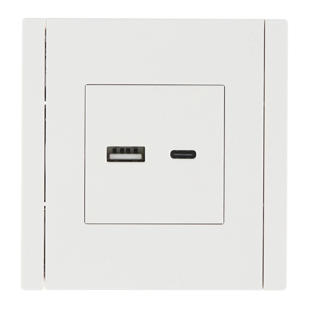 Розетка IEK Forte&Piano FP251 встраиваемая белая без заземления с USB-A/ Type-C (FP-U22-018-K01)