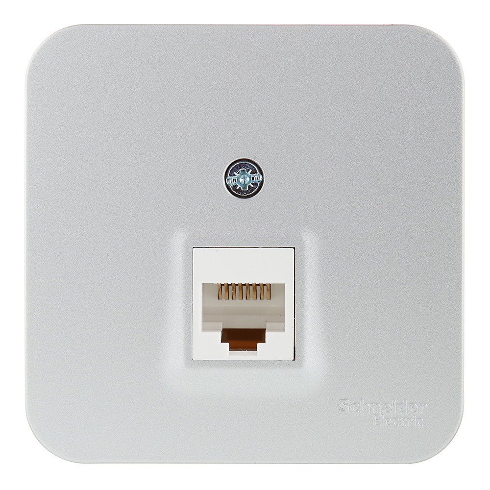 Розетка компьютерная Systeme Electric Blanca накладная алюминий RJ45 (BLNIA045003)