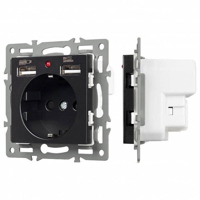 Розетка с заземлением и 2хUSB type A, без рамки Arlight SCT 043734 цвет Черный