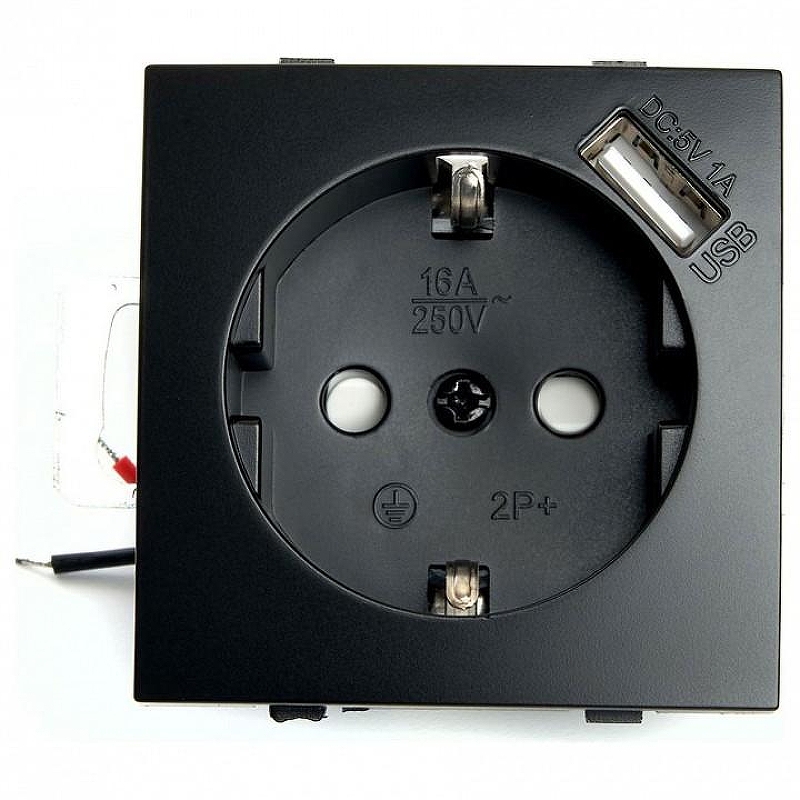 Розетка с заземлением и со шторками и 2хUSB, без рамки Stekker Эрна 49155 цвет Черный