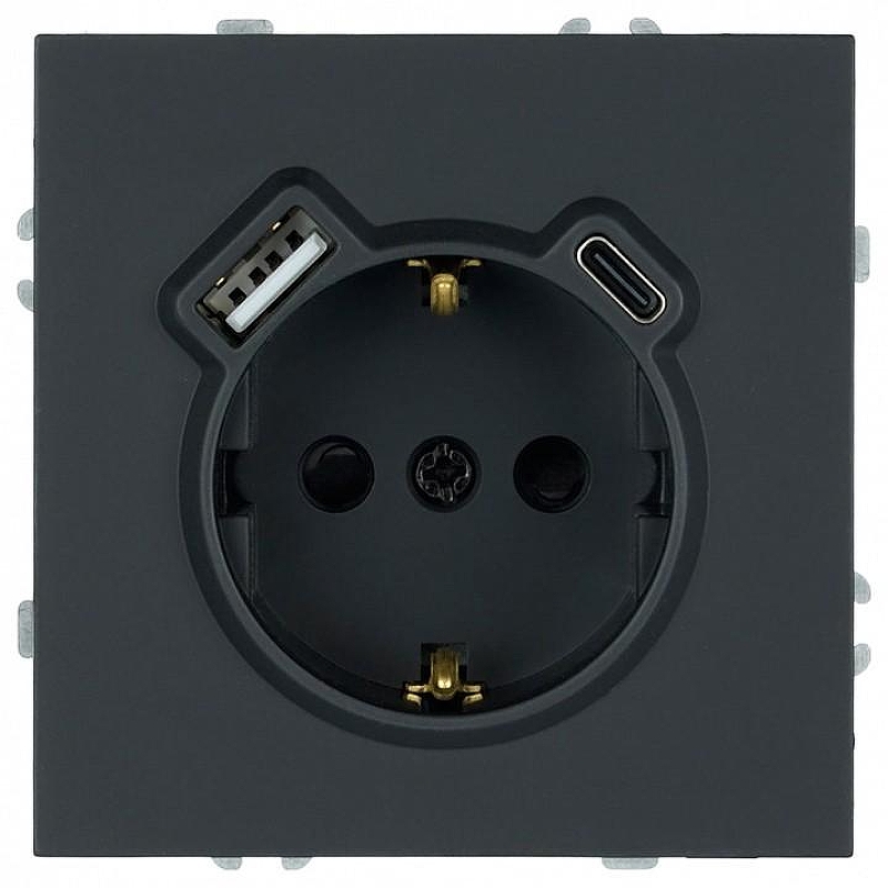 Розетка с заземлением и со шторкой и 2хUSB type A и C, без рамки Stekker Эмили 50218 цвет Черный
