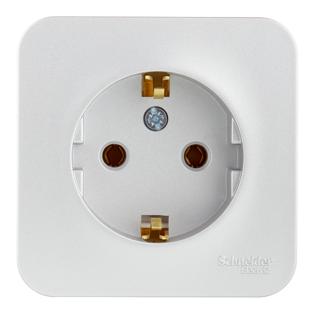 Розетка Systeme Electric Blanca накладная алюминий с заземлением (BLNRA010113)