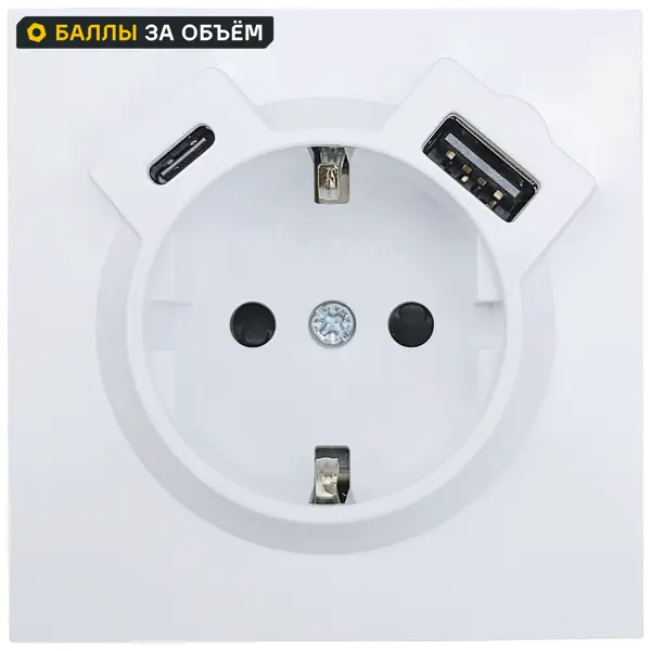 Розетка TC и USB встраиваемая Lezard Zima с заземлением цвет белый