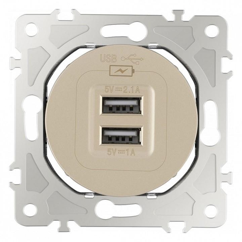 Розетка USB, без рамки Arte Milano am-202 202.46-1.shampan цвет Бежевый