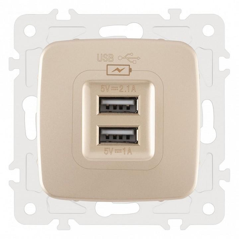 Розетка USB, без рамки Arte Milano am-205 205.46-1.shampan цвет Бежевый