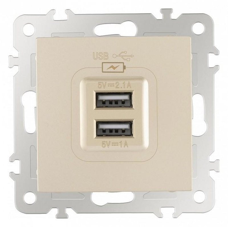 Розетка USB, без рамки Arte Milano am-206 206.46-1.shampan цвет Бежевый