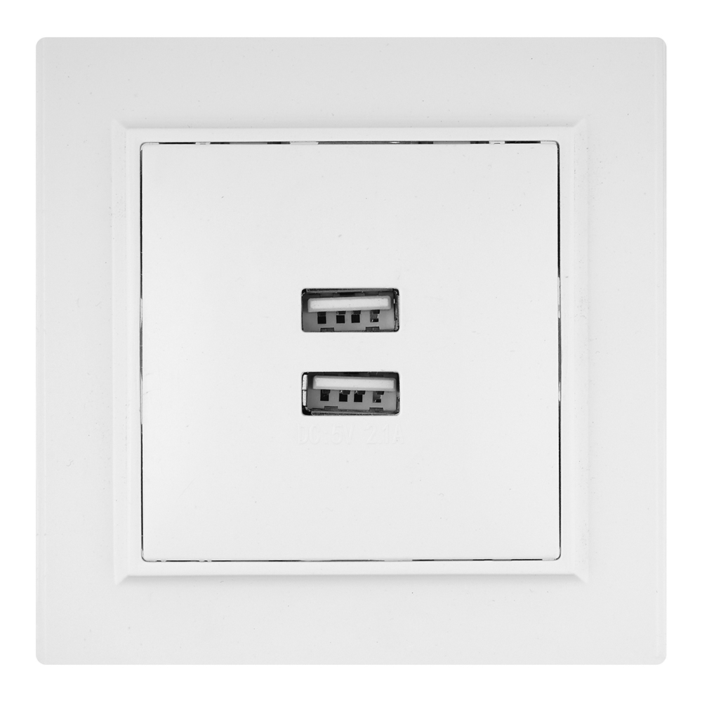 Розетка USB EKF Минск встраиваемая белая 2хUSB-А (ERR-2USB-100)