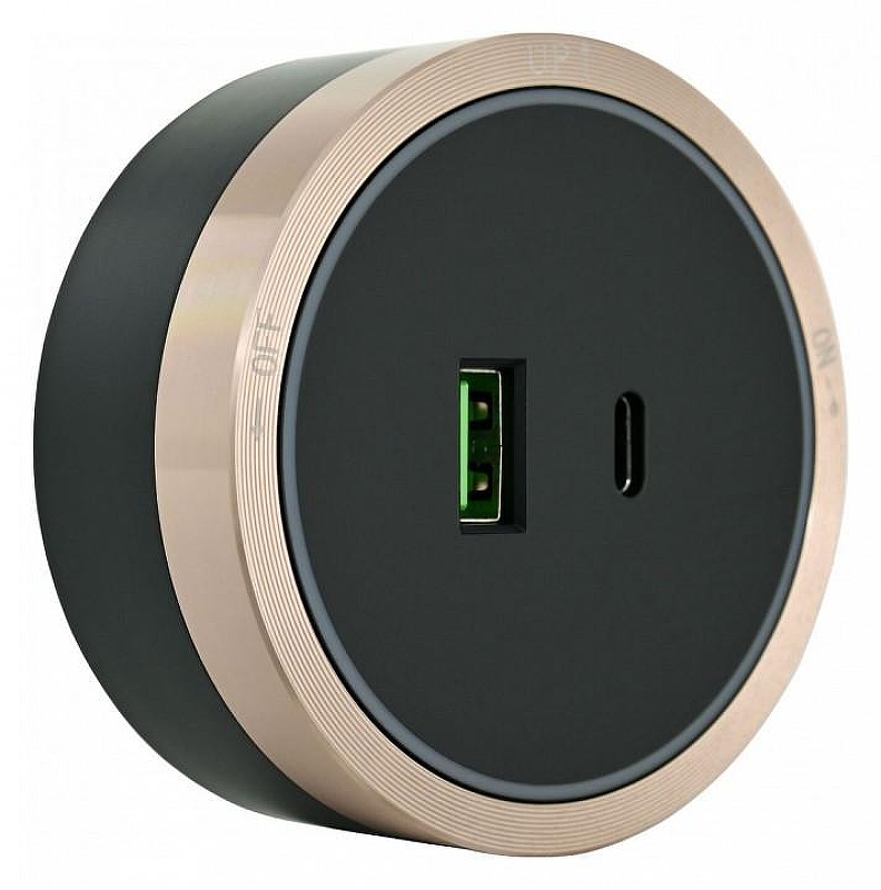 Розетка USB и type C на треке Arte Milano Am-track-sockets 380066TS LED/USB-Type-C Gold цвет Золото