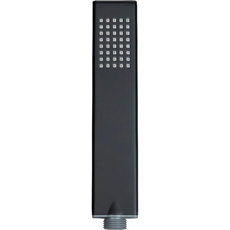 Ручной душ Allen Brau Infinity 5.21022-31 Черный матовый