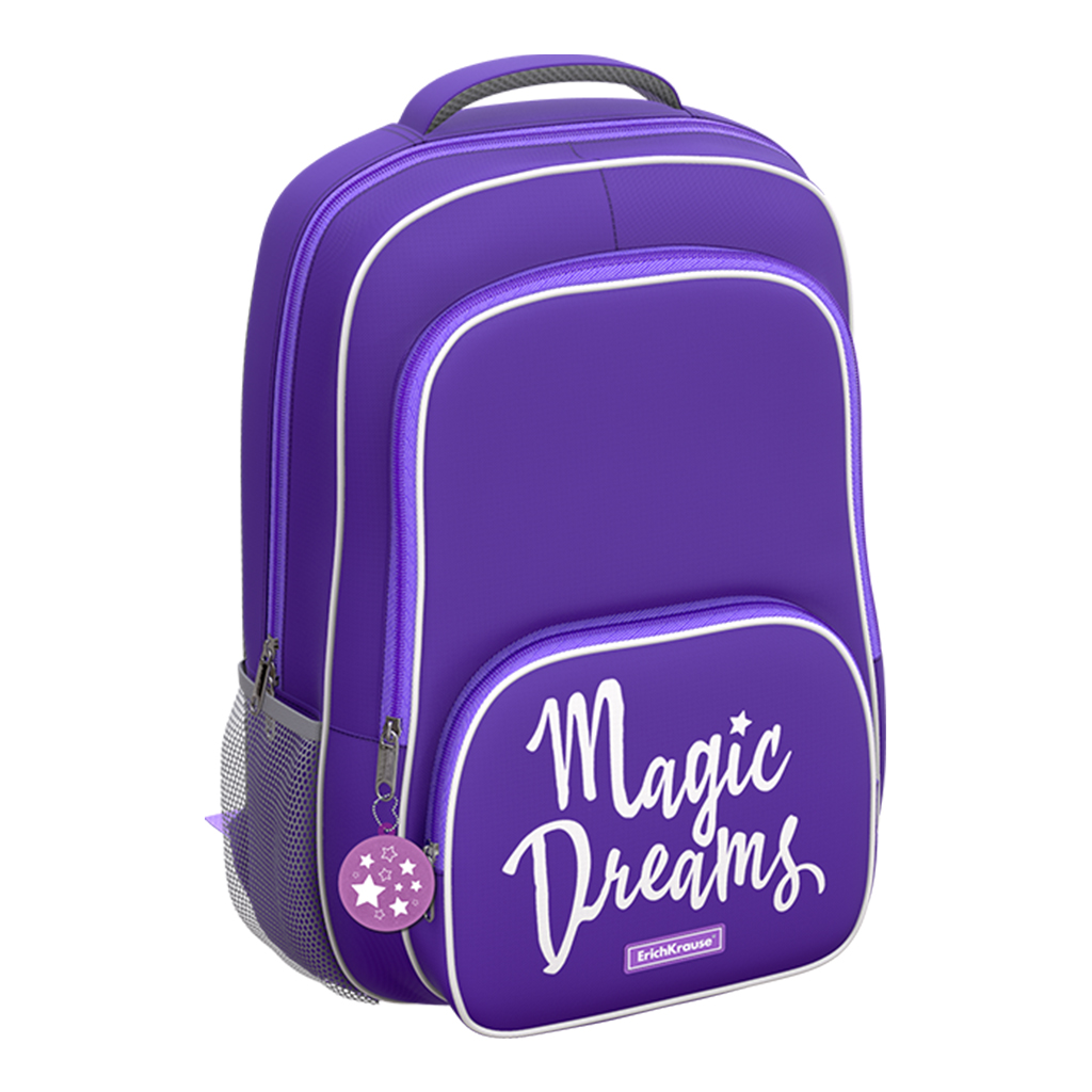 Рюкзак Erichkrause ErgoLine 20l purple