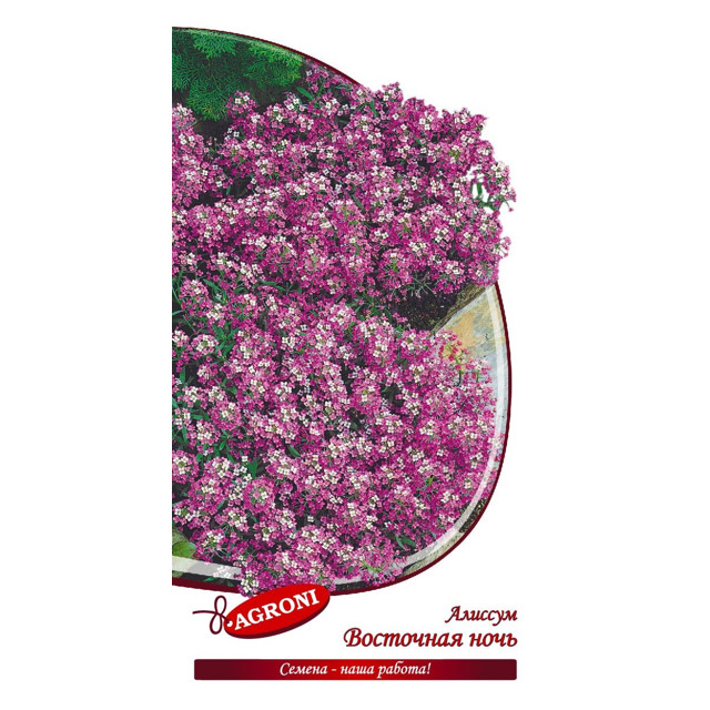 семена Алиссум Восточная ночь АГРОНИ 0,1г