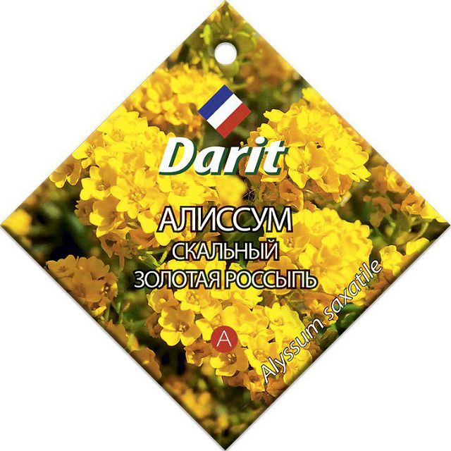 семена Алиссум Золотая россыпь скальный DARIT 0,2г