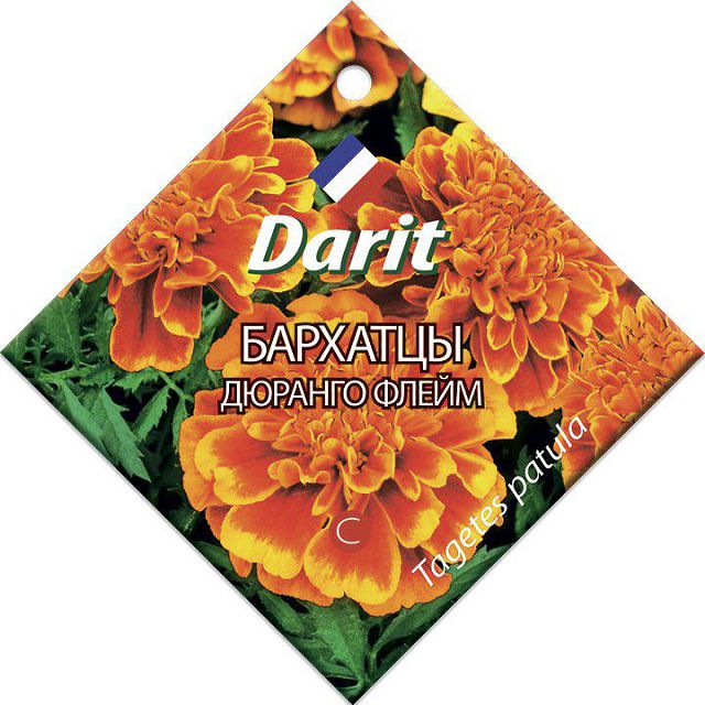 семена Бархатцы DARIT Дюранго Флейм 10шт