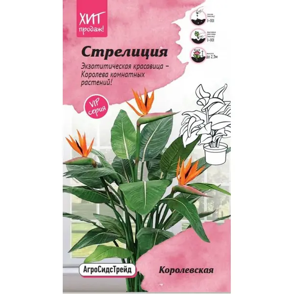 Семена цветов Агросидстрейд стрелиция Королевская 3 шт.
