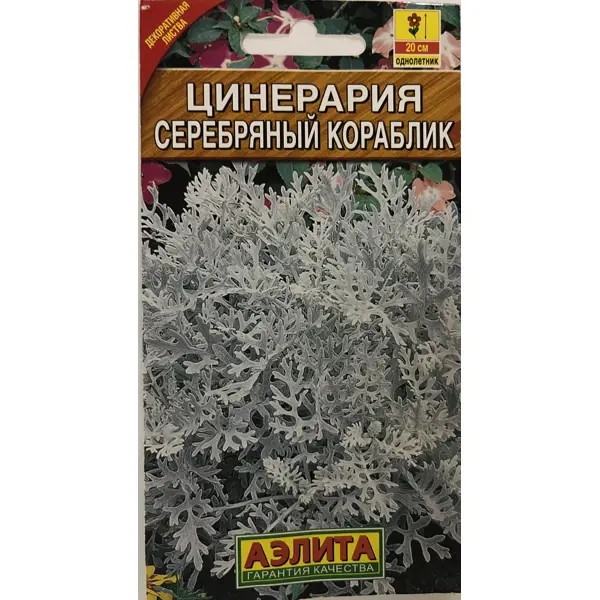 Семена цветов Цинерария Серебряный кораблик серая Аэлита