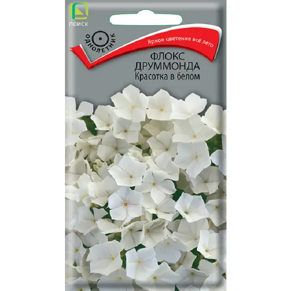 Семена цветов флокс друммонда Красотка в белом