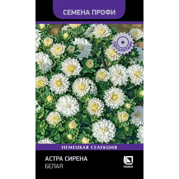 Семена цветов Поиск астра Сирена белый