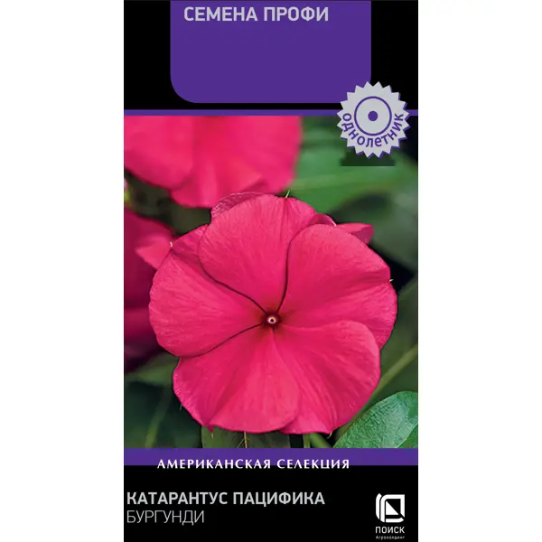 Семена цветов Поиск катарантус Пацифика Бургунди 10 шт.