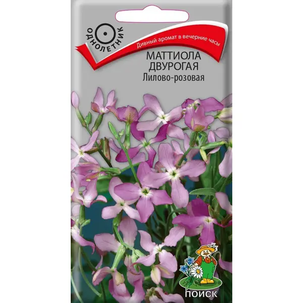 Семена цветов Поиск маттиола двурогая лилово-розовый 0.3 г