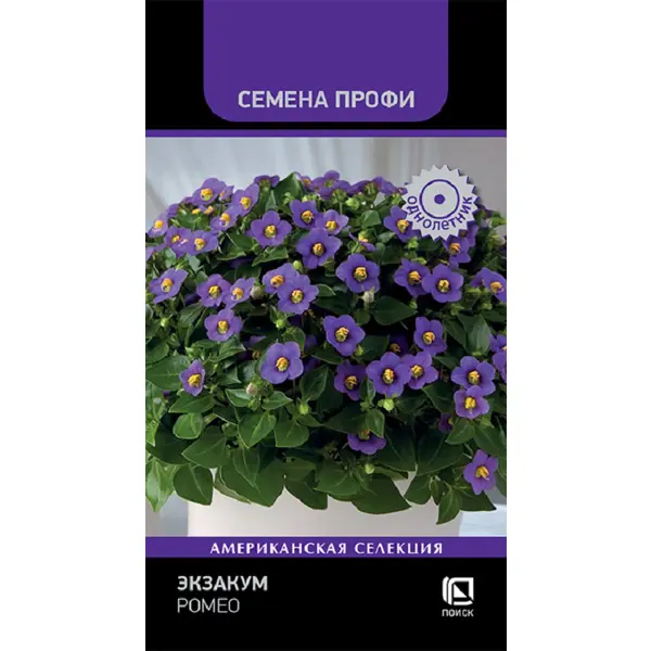 Семена цветов Профи экзакум Ромео 5 шт
