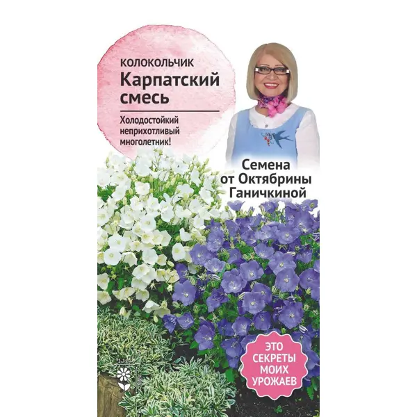 Семена цветов Семена от Октябрины Ганичкиной колокольчик Карпатский микс