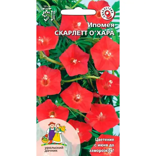 Семена цветов Уральский дачник ипомея Скарлет Охара 12 шт.