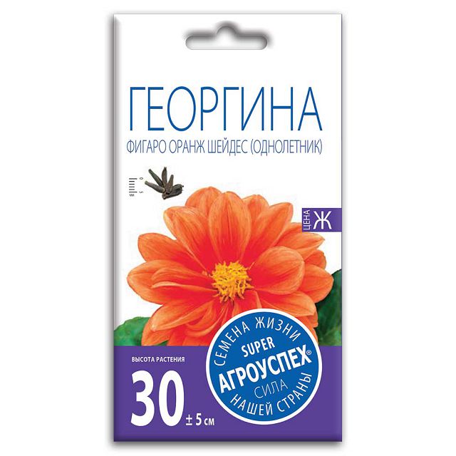 семена георгина Фигаро Оранж Шейдес АГРОУСПЕХ 7шт