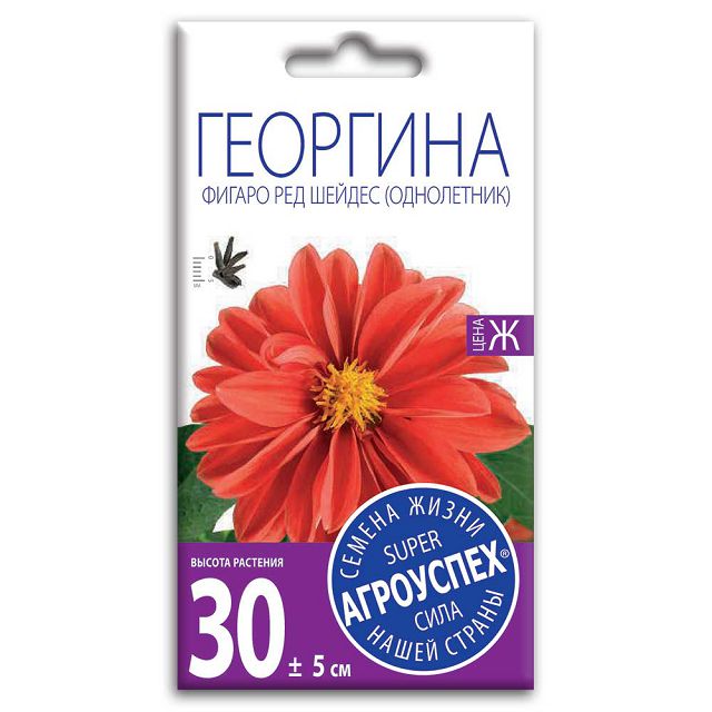 семена Георгина Фигаро Ред Шейдес АГРОУСПЕХ 7шт