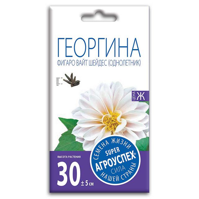 семена Георгина Фигаро Вайт Шейдес АГРОУСПЕХ 7шт