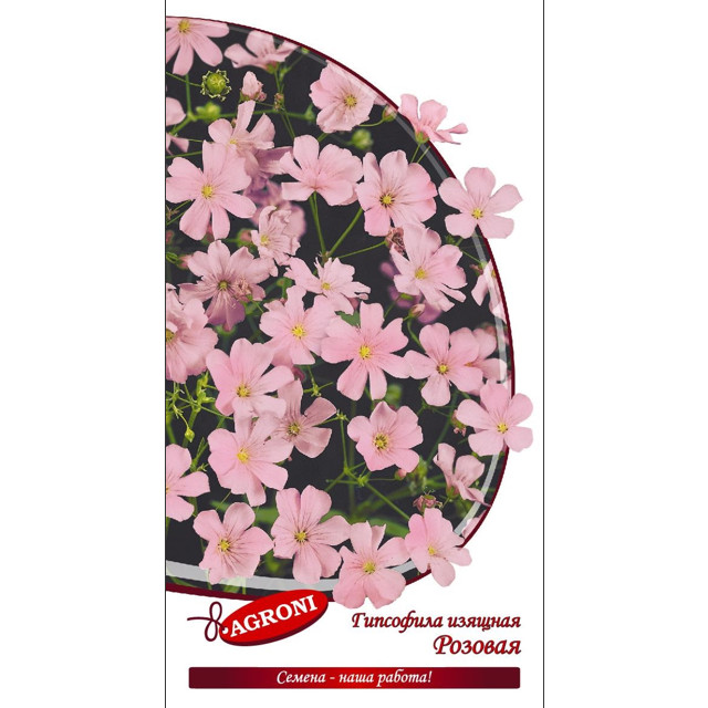 семена Гипсофила розовая АГРОНИ 0,3г