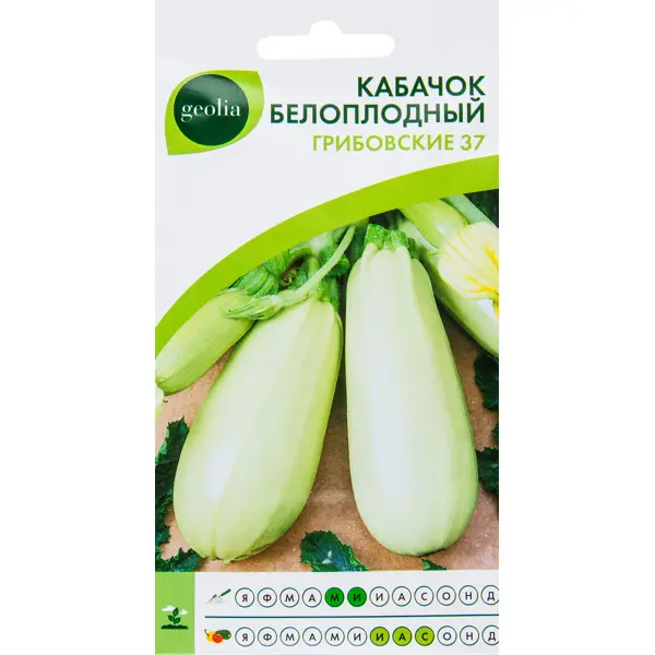 Семена Кабачок белоплодный Geolia «Грибовский» 37