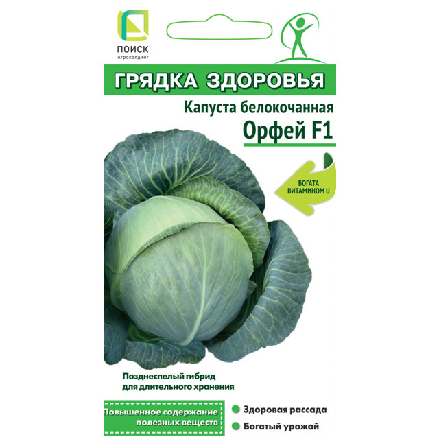 семена капуста белокочанная Орфей ПОИСК F1 0,2г