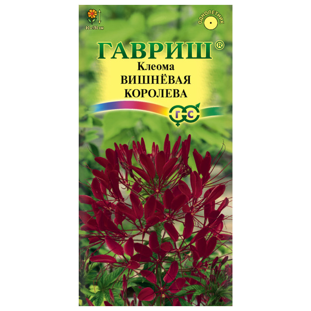 семена Клеома Вишневая королева ГАВРИШ 0,3г