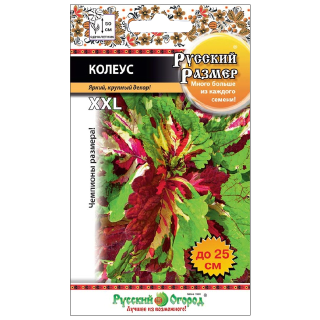 семена Колеус Русский Размер 4шт