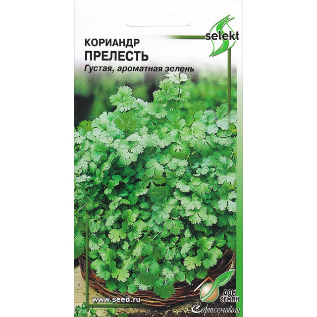 семена кориандр ДОМ СЕМЯН Прелесть 130шт