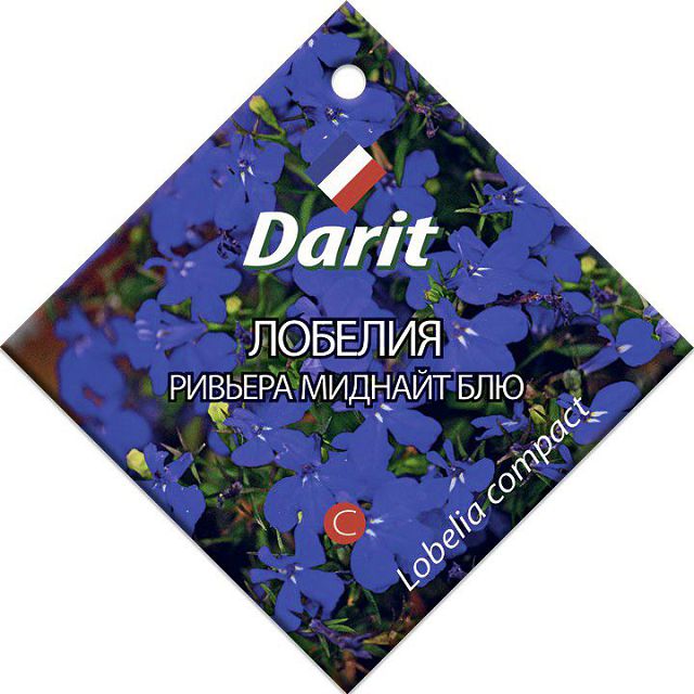семена Лобелия Ривьера Миднайт Блю DARIT 10шт