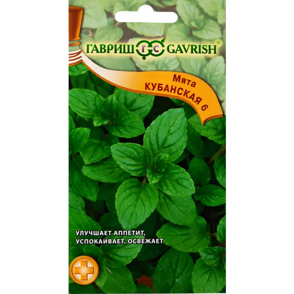Семена Мята перечная Кубанская