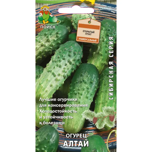 Семена Огурец Алтай Поиск