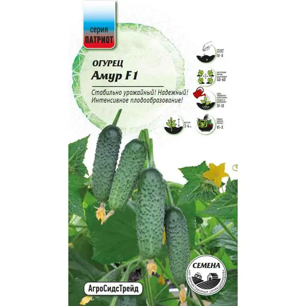 Семена овощей Патриот огурец Амур 8 шт.