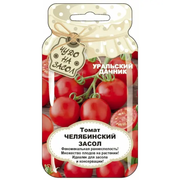 Семена овощей Уральский дачник томат Челябинский засол 20 шт.