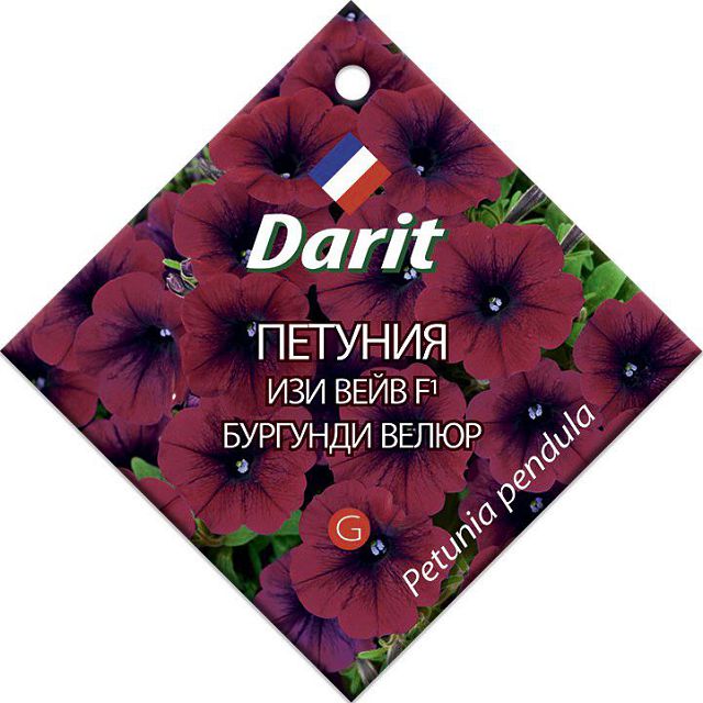 семена Петуния Изи Вейв Бургунди велюр F1 DARIT 5шт