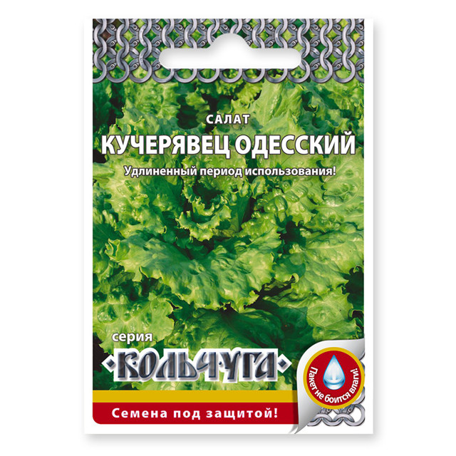 семена салат кочанный Кучерявец одесский 1г