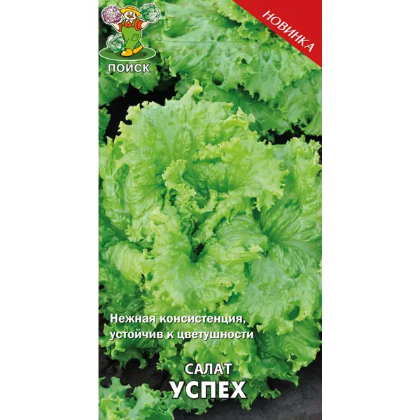 Семена Салат «Успех»
