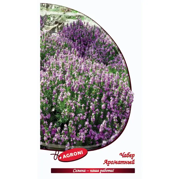 Семена салата чабер Ароматный