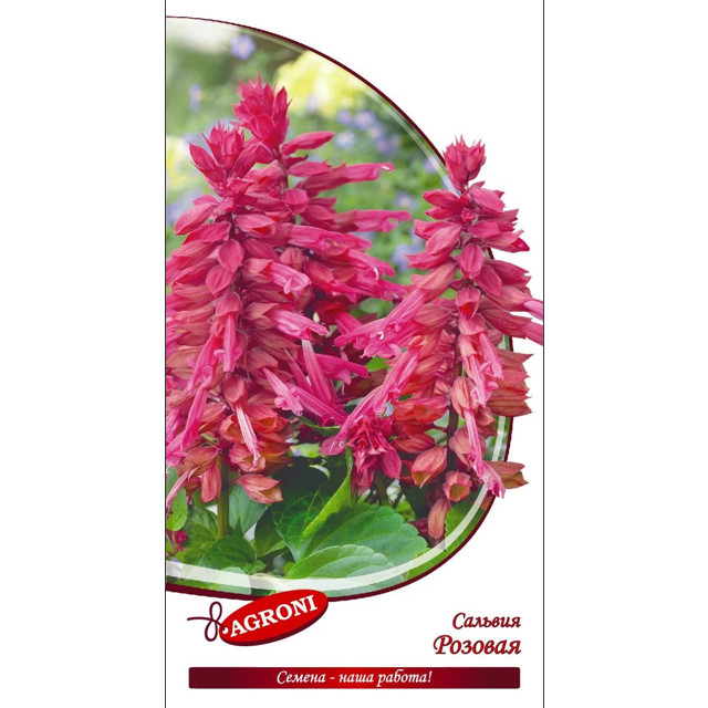 семена Сальвия розовая АГРОНИ 0,1г
