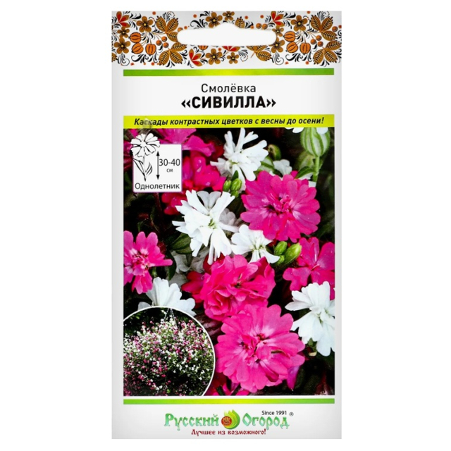 семена Смолевка Сивилла 10 шт