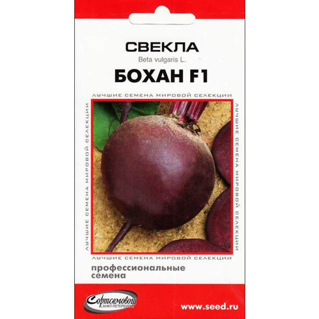 семена свекла ДОМ СЕМЯН Бохан F1 100шт