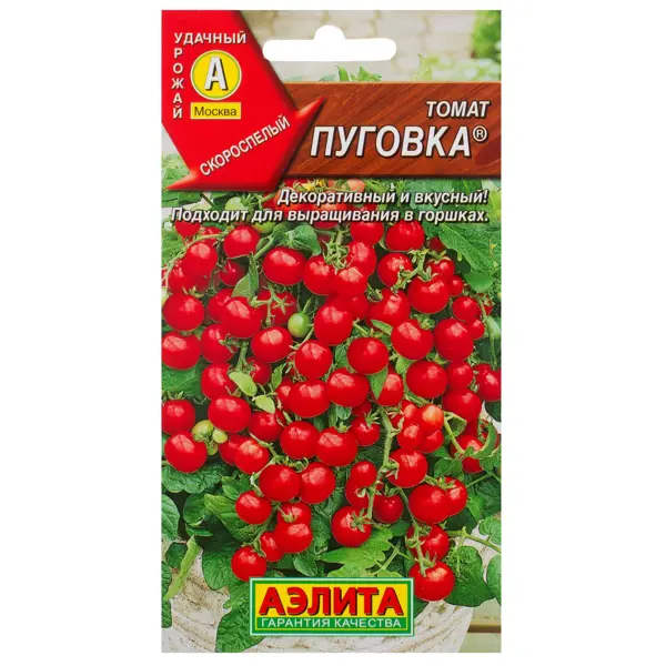 Семена Томат Пуговка