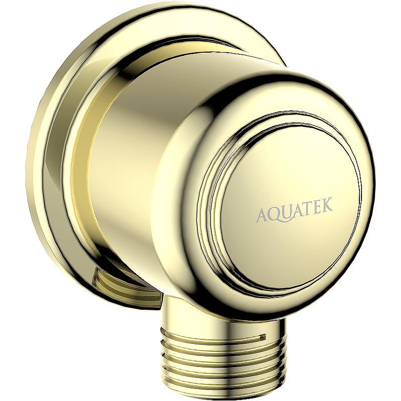 Шланговое подключение Aquatek Классик AQ2461PG Золото полированное
